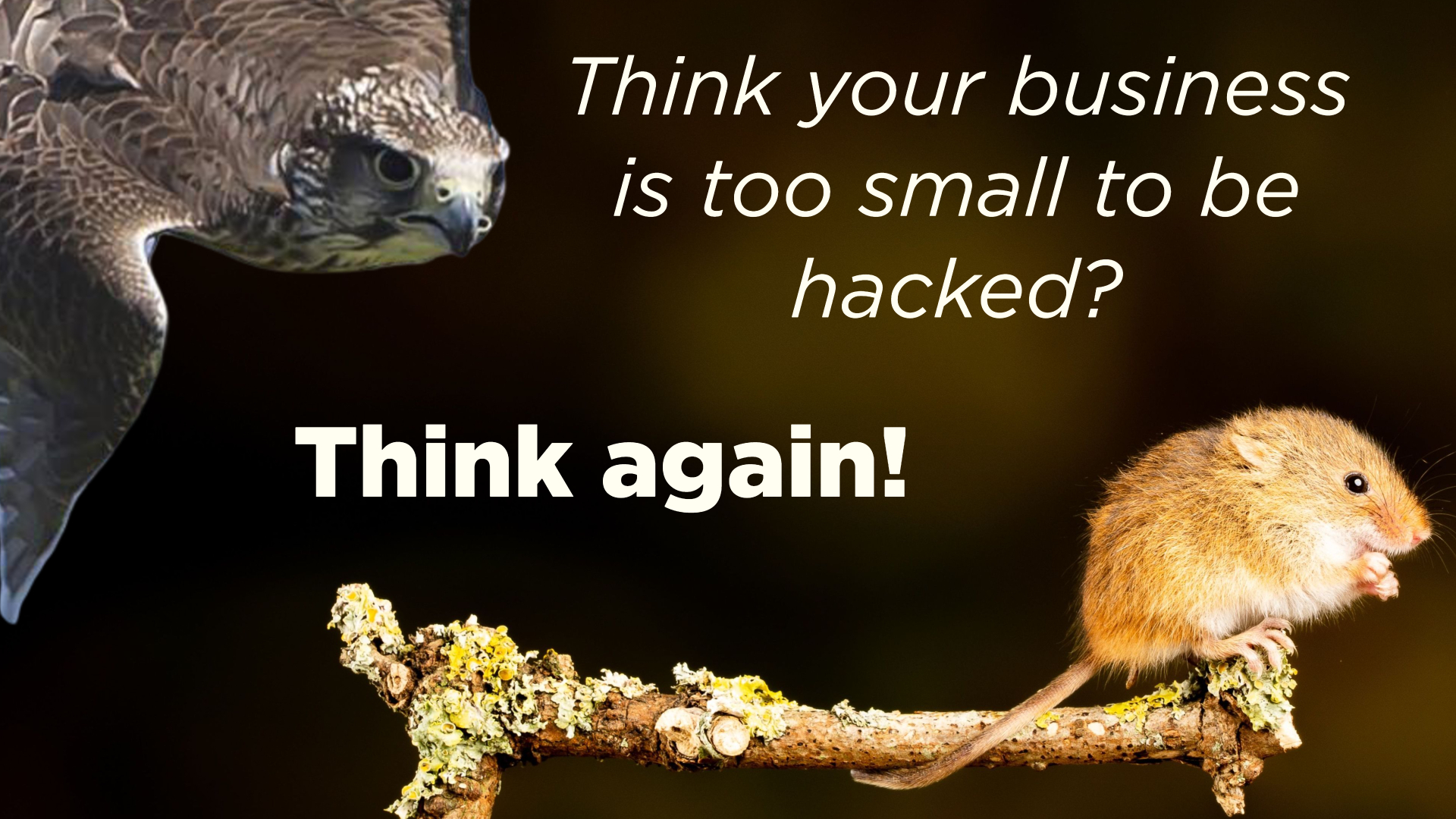 No matter what size your business… yes, you can be hacked